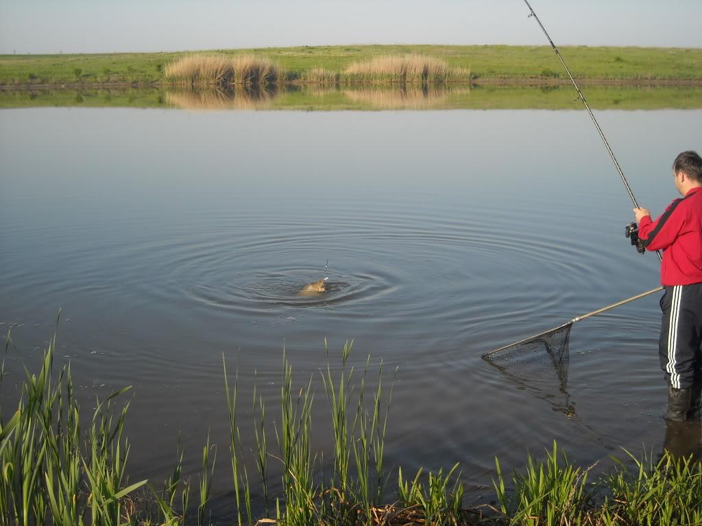 Party Cup - Hobaia 2010 - partycuphobaia201010.jpg